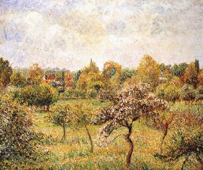 Camille Pissarro The apple trees on the lawn china oil painting image